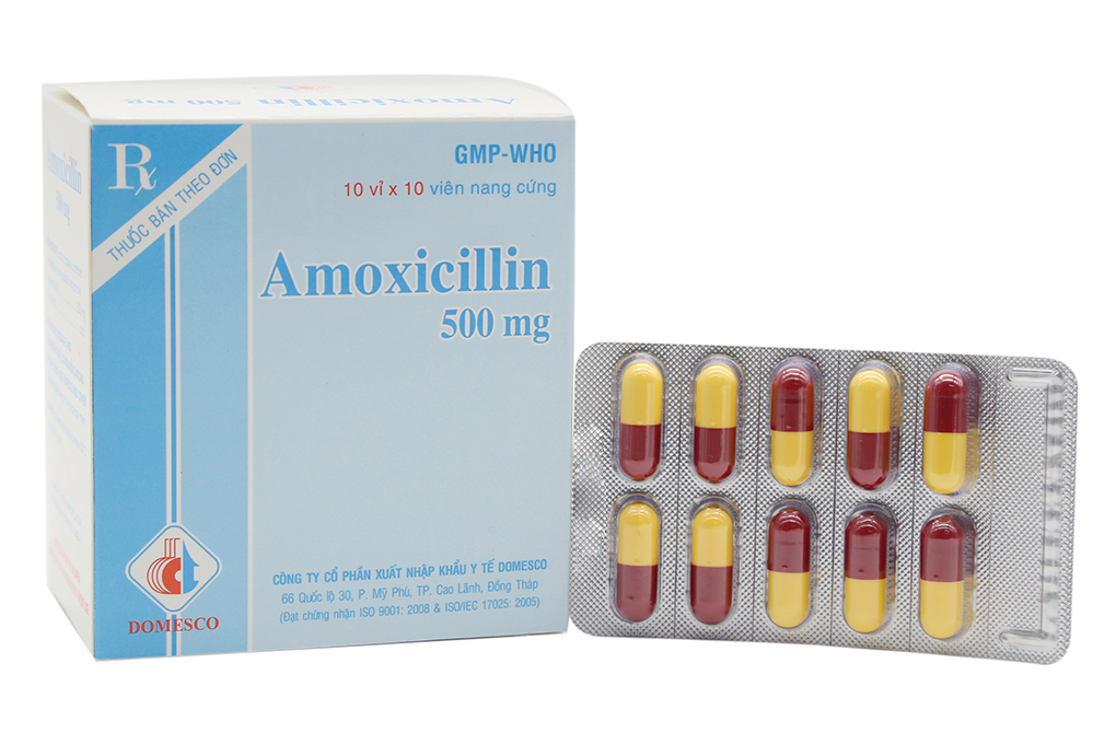 Amoxicillin Domesco 500mg trị nhiễm khuẩn (10 vỉ x 10 viên)