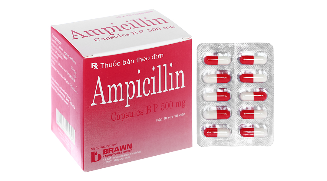 Ampicillin Brawn 500mg trị nhiễm khuẩn (10 vỉ x 10 viên)