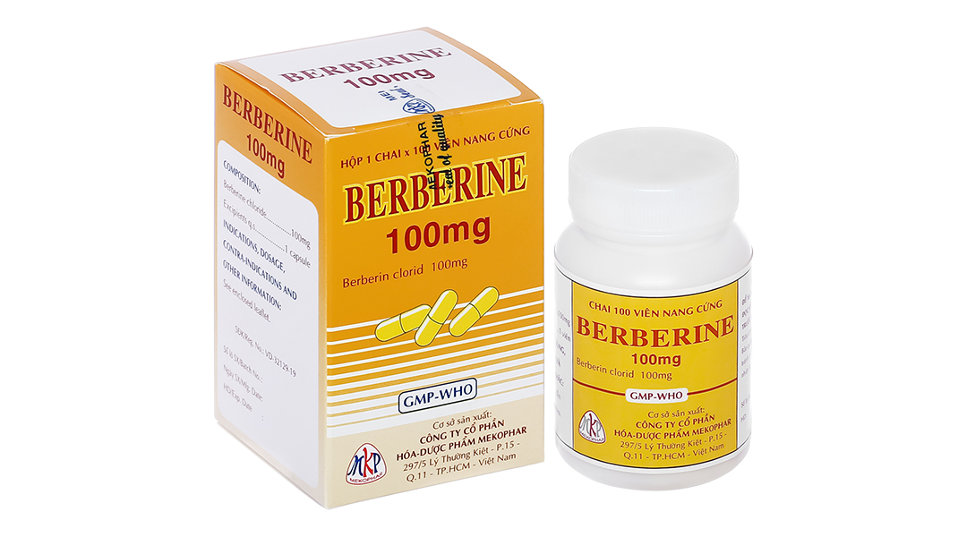 Berberine 100mg trị tiêu chảy, kiết lỵ lọ 100 viên