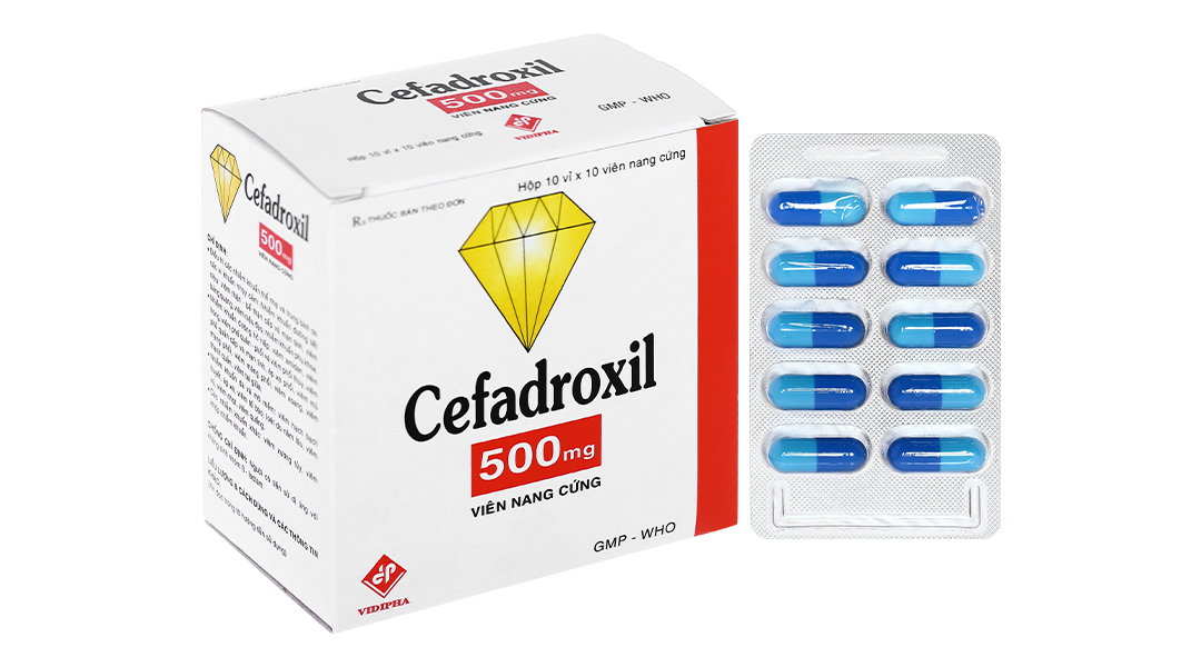 Cefadroxil Vidipha 500mg trị nhiễm khuẩn (10 vỉ x 10 viên)