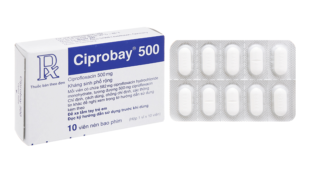 Ciprobay 500 trị nhiễm khuẩn (1 vỉ x 10 viên)