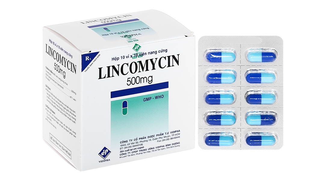 Lincomycin Vidipha 500mg trị nhiễm khuẩn (10 vỉ x 10 viên)