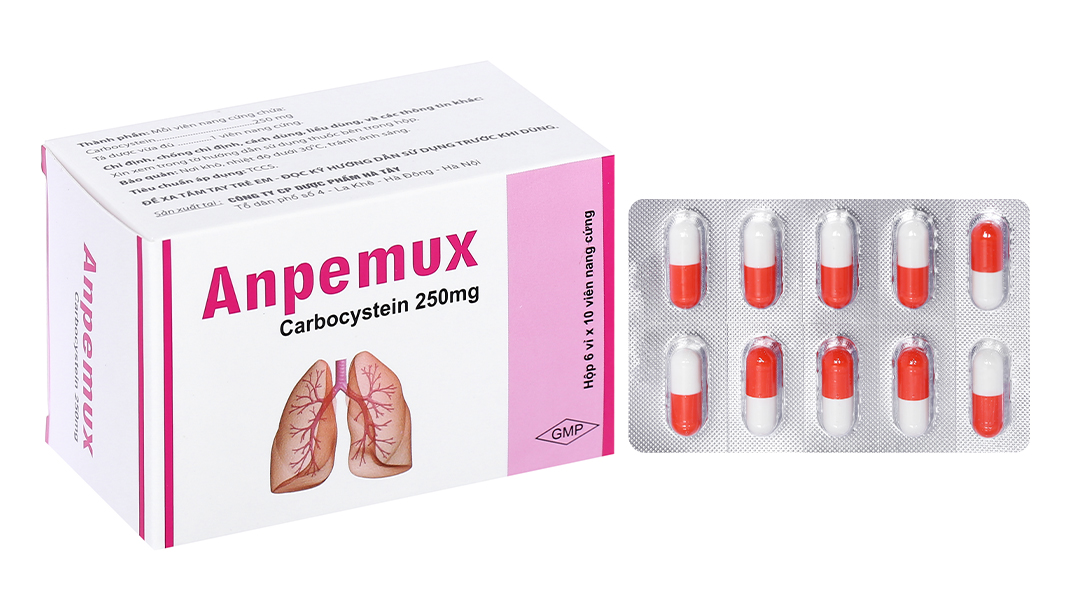 Anpemux 250mg trị rối loạn tiết dịch hô hấp (6 vỉ x 10 viên)